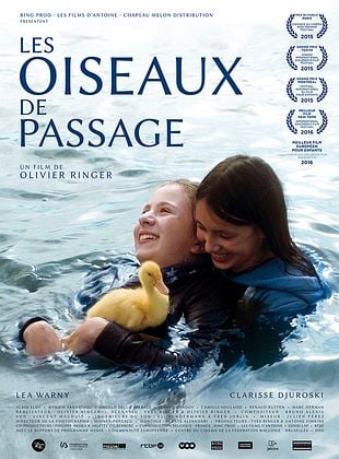 Affiche Les Oiseaux de passage