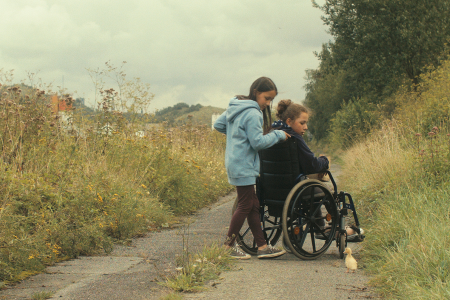 Les Oiseaux de passage