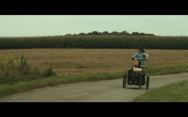 Les Oiseaux de passage