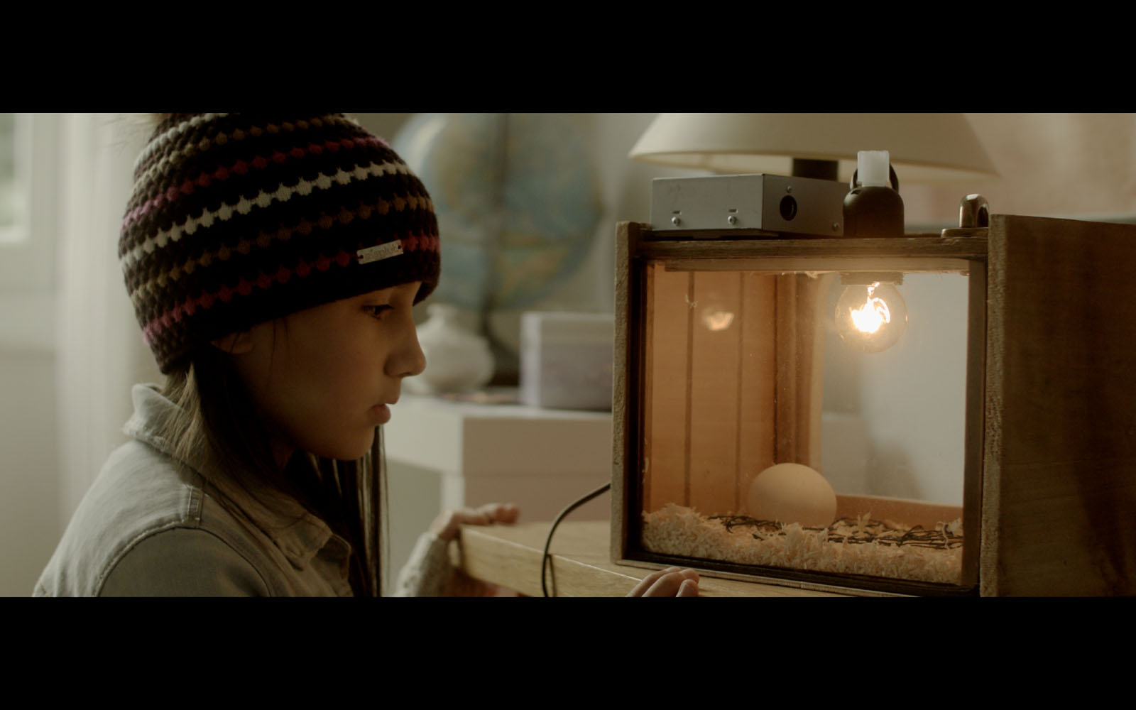 Les Oiseaux de passage