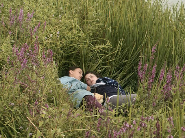 Les Oiseaux de passage